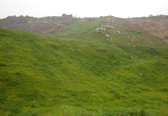 礦山生態環境治理